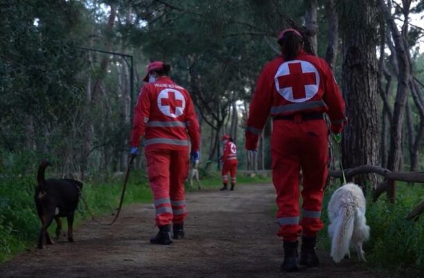 Ο Ελληνικός Ερυθρός Σταυρός συγκεντρώνει ζωοτροφές για τα αδέσποτα του Φιλοζωικού Συλλόγου Νέας Φιλαδέλφειας