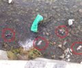 Ευηνοχώρι Αιτωλοακαρνανίας: Πέταξε 10 κουτάβια στο ποτάμι και έπνιξε 6