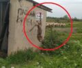 Μητρόπολη Καρδίτσας: Κρέμασε ζωντανή αλεπού ανάποδα έξω από το γήπεδο του χωριού (βίντεο)