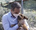 Κυριάκος Μητσοτάκης: Σωστή η υποχρεωτική στείρωση και των οικόσιτων ζώων συντροφιάς (βίντεο)