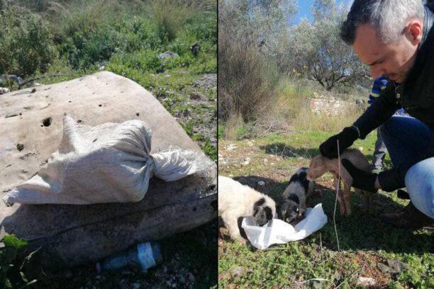 Παραβόλα Αιτωλοακαρνανίας: Βρήκε τρία κουτάβια κλεισμένα σε τσουβάλι πεταμένα σαν σκουπίδια