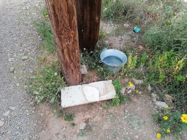 Σαλαμίνα: Εξαφανίστηκε και η 6η ταΐστρα που ο δήμος είχε βάλει για τ’ αδέσποτα