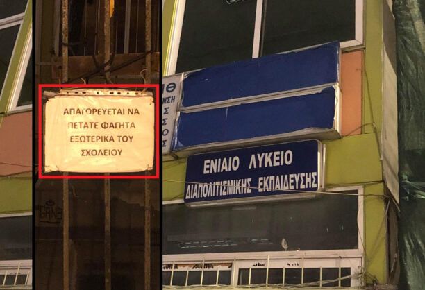 Θεσσαλονίκη: Απαγορεύουν παρανόμως τη σίτιση αδέσποτων έξω από τo Ενιαίο Λύκειο Διαπολιτισμικής Εκπαίδευσης