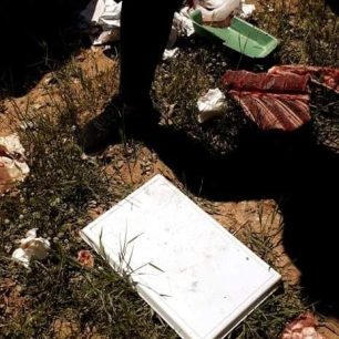 Συνελήφθη αντιδήμαρχος και υπάλληλος του Δήμου Ηράκλειας για εγκατάλειψη αδέσποτων σκυλιών σε άλλον δήμο των Σερρών (βίντεο) 9 DimosIrakleiasSerronEgkatalipsiSkylion6 5 2021 25
