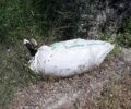 Λέσβος: Βρήκε τσουβάλι με κορμί ζώου – πιθανότατα νεκρό – αλλά δεν το άνοιξε