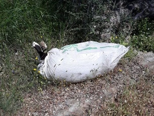 Λέσβος: Βρήκε τσουβάλι με κορμί ζώου – πιθανότατα νεκρό – αλλά δεν το άνοιξε