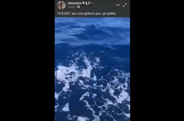 Μεσσηνία: Ψαράς βασάνιζε εξαβράγχιο καρχαρία – είδος υπό προστασία και ανέβασε βίντεο στο facebook