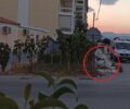 «Ιππόθεσις»: Κοινό μυστικό η κακοποίηση αλόγων από αμαξάδες στο Ναύπλιο Αργολίδας