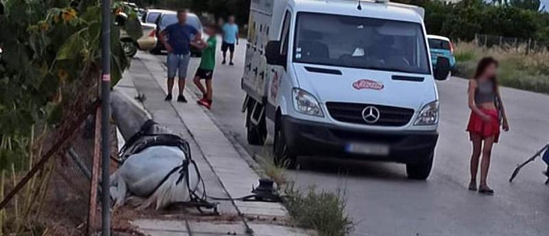«Ιππόθεσις»: Γραφειοκρατία και απίστευτη καθυστέρηση στη διερεύνηση καταγγελιών για κακοποίηση ιπποειδών (αλόγων, μουλαριών, γαϊδουριών) 1 NafplioAlogoEpese8 9 2020 3