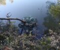 Πάρνηθα: Δεκάδες νεροχελώνες πνιγμένες παγιδευμένες σε κιούρτο στη λίμνη Μπέλετσι (βίντεο)