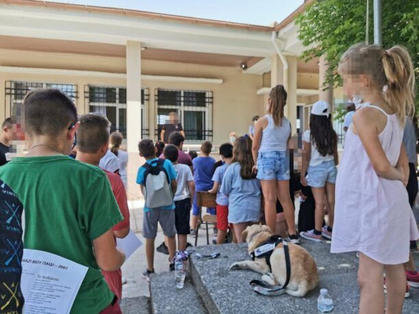Διώνη: Ο σκύλος που επέζησε - παρά την άγρια κακοποίηση - παρακολούθησε τη γιορτή του Δημοτικού Σχολείου Πλατάνου Ημαθίας