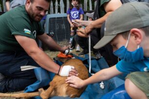 Φλώρινα: Δύο νεαρά ζαρκάδια φρόντισε και άφησε ελεύθερα στη φύση ο ΑΡΚΤΟΥΡΟΣ (βίντεο)