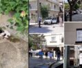 Νέα Σμύρνη Αττικής: Διαμαρτυρήθηκαν έξω απ'το σπίτι ηλικιωμένης που σκότωσε γατάκι και μαχαίρωσε ακόμα ένα (βίντεο)
