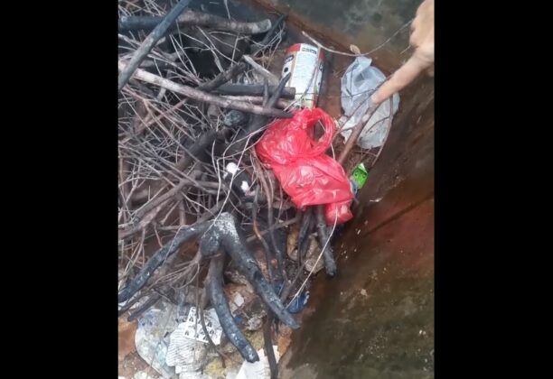 Σκαφιδάκι Πρέβεζας: Νεογέννητα κουτάβια ζωντανά πεταμένα σε κάδο σκουπιδιών (βίντεο)