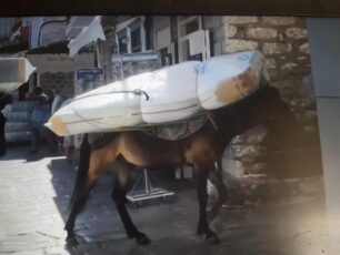 Κίνημα Δημοκρατίας: Με το άνοιγμα της σεξόν κορυφώνεται η υπερεκμετάλλευση των ιπποειδών