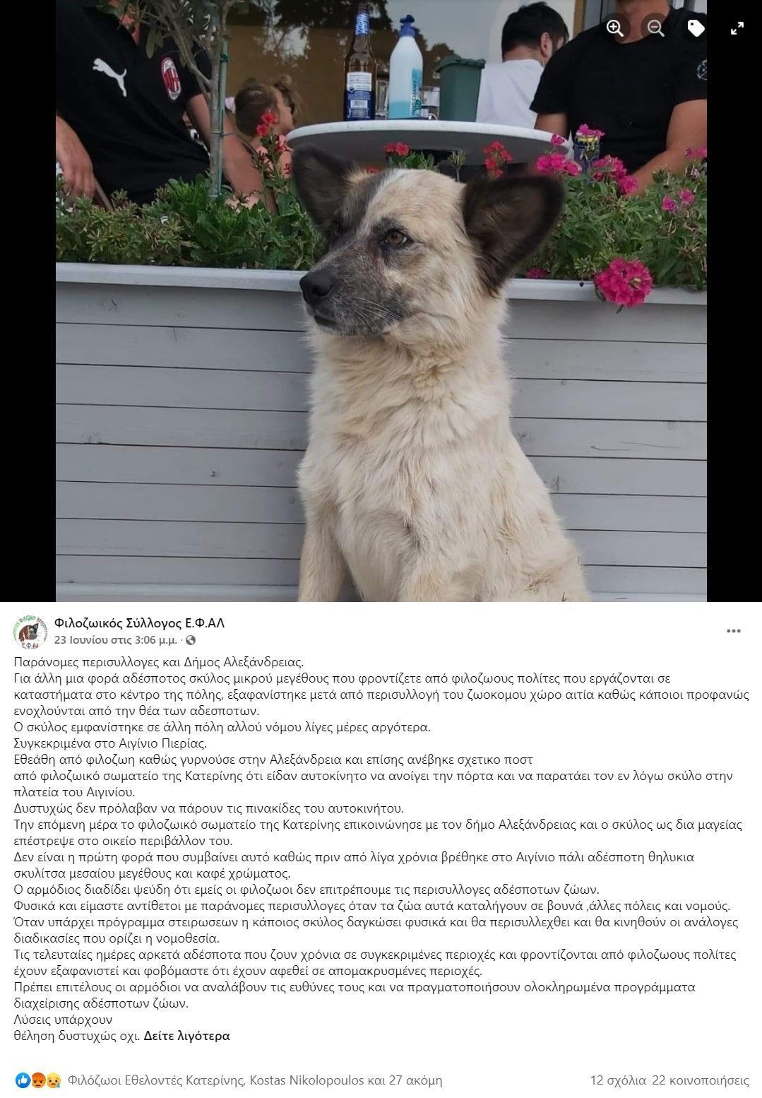 Κατηγορούν τον Δήμο Αλεξάνδρειας για παράνομες περισυλλογές αδέσποτων, εγκαταλείψεις σκυλιών σε άλλους νομούς και εξαφανίσεις ζώων 2 AlexandreiaImathiasSkylosAdespotosAiginioPierias23 6 2021
