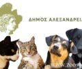 Κατηγορούν τον Δήμο Αλεξάνδρειας για παράνομες περισυλλογές αδέσποτων, εγκαταλείψεις σκυλιών σε άλλους νομούς και εξαφανίσεις ζώων