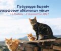Φιλοζωική Δράση Καρπάθου: Πρόγραμμα στειρώσεων αδέσποτων γατιών από 12 Ιουλίου έως 2 Αυγούστου