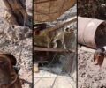 Ρόδος: Κυνηγός είχε 3 σκυλιά αλυσοδεμένα σε άθλιες συνθήκες χωρίς νερό στη Σορωνή (βίντεο)