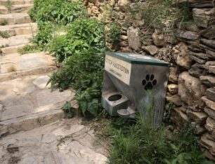 Ο Δήμος Σίφνου αφήνει χωρίς τροφή/νερό αδέσποτες γάτες και μαγαζάτορες εξαφανίζουν ταΐστρες