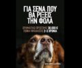 Βασιλειάδα Καστοριάς: Με φόλες δολοφόνησε σκυλιά