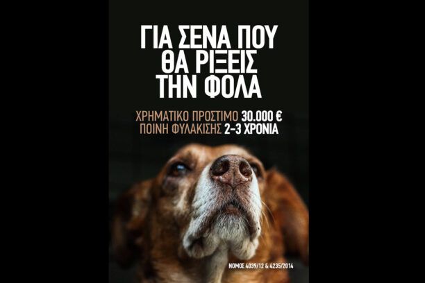 Βασιλειάδα Καστοριάς: Με φόλες δολοφόνησε σκυλιά