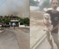 Ηλεία: Έκκληση για διασώσεις, μεταφορές, φροντίδα ζώων από χωριά που καίγονται απευθύνει ο Φιλοζωικός Σύλλογος Κρεστένων (βίντεο)
