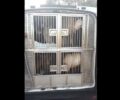 Zητούν φιλοξενία για κατσίκες που σώθηκαν από τη Βαρυμπόμπη Αττικής (βίντεο)