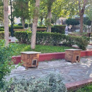 KorydallosGatospita10 8 2021 1