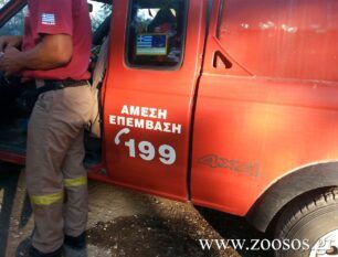 Ζητούν φιλοξενία και κλουβιά μεταφοράς για 15 σκυλιά που εγκαταλείφθηκαν σε ιδιωτική έκταση στη Βαρυμπόμπη