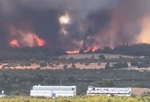 Αν χρειάζεστε βοήθεια για ιπποειδή που κινδυνεύουν από τη φωτιά στη Βαρυμπόμπη Αττικής καλέστε τον Ε.Σ.Π.Ι.