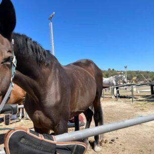 KoropiAlogoSkeletomeno25 9 2021 1