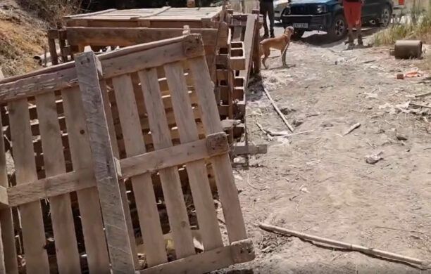 Ρόδος: Είχε τα σκυλιά του αλυσοδεμένα απολύτως εκτεθειμένα στον καύσωνα μέσα σε κλουβιά από παλέτες (βίντεο)