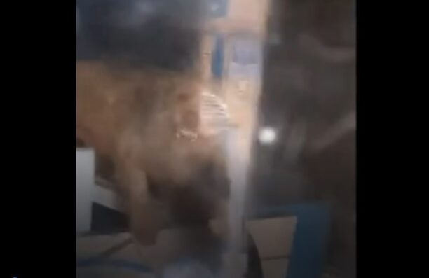 Γεράνι Χανίων: Γυναίκα ψυχικά ασθενής ζει σε άθλιες συνθήκες και συνεχίζει να κακοποιεί σκυλιά (βίντεο)
