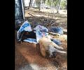 Μαζική δολοφονία γατιών και σκυλιών με φόλες στο Κιλκίς (βίντεο)