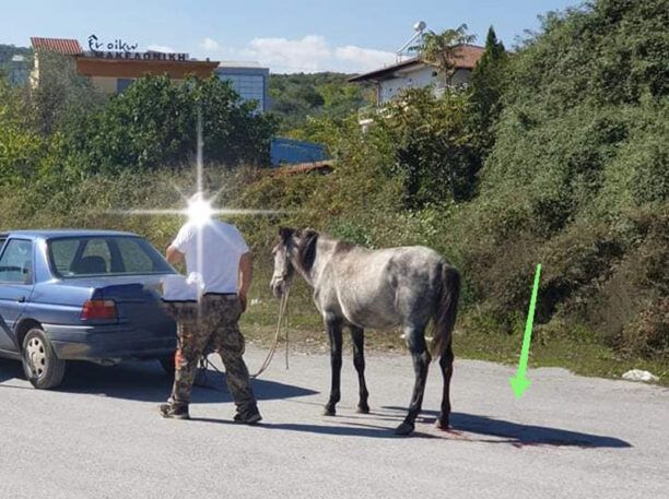 Βέροια Ημαθίας: Αθωώθηκε 43χρονος που έσερνε άλογο στην άσφαλτο – Ο δράστης το 2003 είχε δολοφονήσει 2 άνδρες
