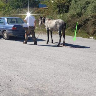 VeroiaImathiasTravmatismenoAlogo4 10 2021 4