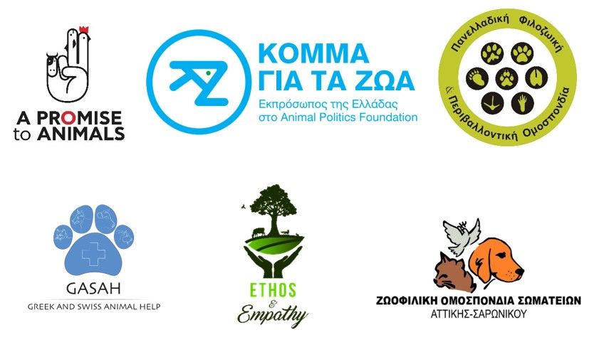 Χωρίς τέλος το μαρτύριο των αγελάδων στην Κω – Τι καταγγέλλουν φιλοζωικοί φορείς 13 KosEpistoliLogotypaForeon
