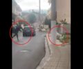 Μάνδρα Αττικής: Συνελήφθη άνδρας που χτυπούσε σκύλο (βίντεο)