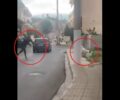 Μάνδρα Αττικής: Συνελήφθη άνδρας που χτυπούσε σκύλο (βίντεο)