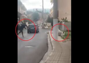 Μάνδρα Αττικής: Συνελήφθη άνδρας που χτυπούσε σκύλο (βίντεο)