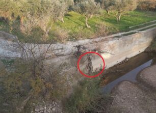 Σάμος: Βρήκε τον σκύλο απαγχονισμένο, κρεμασμένο κάτω από γέφυρα στο Ηραίο