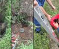 Ζουνάκι Χανίων: Βρήκαν έξι κουτάβια ζωντανά πεταμένα σε πηγάδι (βίντεο)