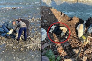 Φθιώτιδα: Έκλεισε σκυλίτσα με κουτάβια σε τσουβάλι και τα πέταξε σε ποτάμι – Τα 6 μωρά πνίγηκαν (βίντεο)