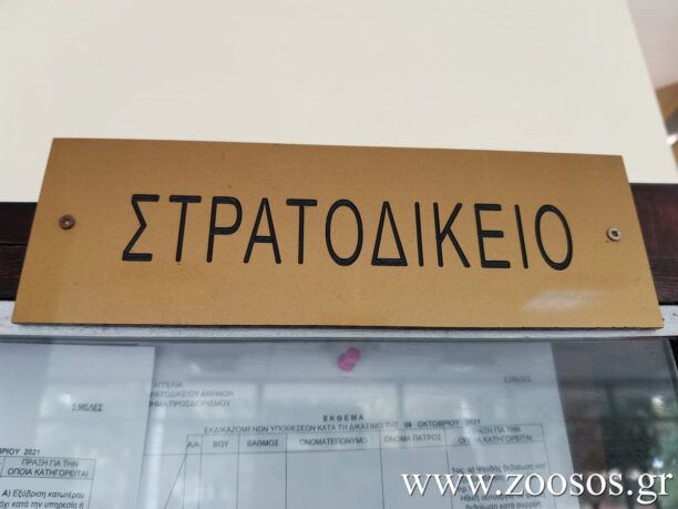 Τι επισημαίνει ο Θ. Καμπαγιάννης για την καταδίκη των νεαρών που πέταξαν σκύλο σε γκρεμό όταν ήταν φαντάροι