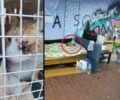 Καλλιθέα Αττικής: Ζητούν βοήθεια για τον άστεγο και τον άρρωστο γάτο που ο άνδρας προσπαθούσε να βοηθήσει