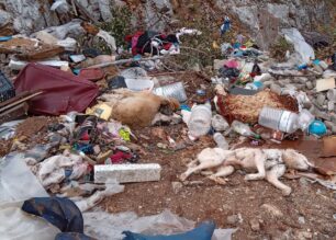 Σιάτιστα Κοζάνης: Πολλά ζώα νεκρά πιθανότατα δηλητηριασμένα από φόλες πεταμένα σε χωματερή