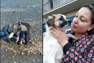 Φιλοξενούν σκυλίτσα που βρέθηκε πεταμένη στον Σπερχειό μέσα σε τσουβάλι με 6 κουτάβια στη Μακρακώμη Φθιώτιδας (βίντεο)