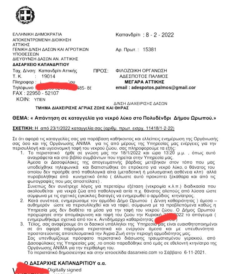 Πυροβολημένος ο λύκος στο Πολυδένδρι Αττικής λέει το Δασαρχείο Καπανδριτίου – Αντίθετη η άποψη του ΑΡΚΤΟΥΡΟΥ 7 LykosEpistoliDasarxeioKapandritiou8 2 2022