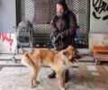 Έκκληση για τον άστεγο άνδρα και τον σκύλο του που υποφέρουν στο κέντρο της Αθήνας